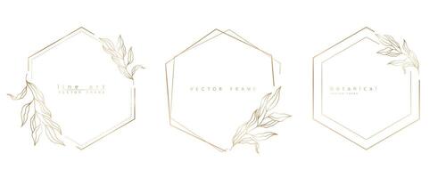 Set of hexagon frame templates in minimal linear style with hand drawn branches and leaves. Elegant polygon frame. Botanical illustration for labels, corporate identity, wedding invitation and logo. vector