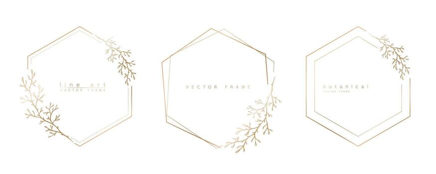 Set of hexagon frame templates in minimal linear style with hand drawn branches and leaves. Elegant polygon frame. Botanical illustration for labels, corporate identity, wedding invitation and logo. vector