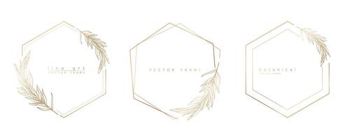 Set of hexagon frame templates in minimal linear style with hand drawn branches and leaves. Elegant polygon frame. Botanical illustration for labels, corporate identity, wedding invitation and logo. vector