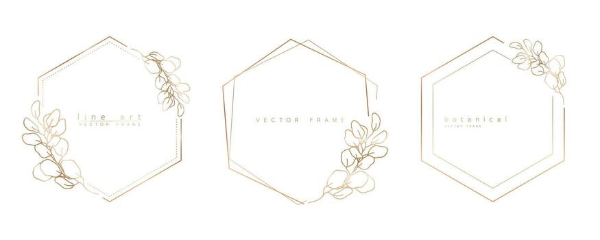 Set of hexagon frame templates in minimal linear style with hand drawn branches and leaves. Elegant polygon frame. Botanical illustration for labels, corporate identity, wedding invitation and logo. vector
