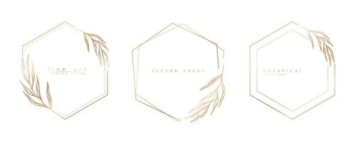 Set of hexagon frame templates in minimal linear style with hand drawn branches and leaves. Elegant polygon frame. Botanical illustration for labels, corporate identity, wedding invitation and logo. vector