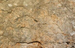 Closeup of the rough stone texture of a big rock surface for natural background concepts. Closeup dirty natural stone background texture photo