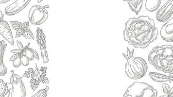 Fresh and healthy farm vegetables, minimalist horizontal banner, veggies icons border frame. Space for text, isolated background. Organic product. For poster, menu, flyer, cover, invitation vector