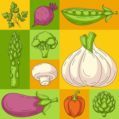 Fresh and healthy farm vegetables, natural food. Geometric modern square poster, eco veggies icons. Minimal abstract layout for banner, menu, cover, farmers market, brochure, social media