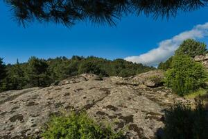 mountains, landscape, view, nature, plants, spring, sunny, flora photo