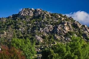 mountains, landscape, view, nature, plants, spring, sunny, flora photo