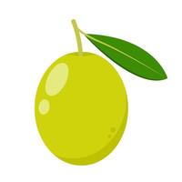 Olive . Olive on white background. wallpaper. free space for text. copy space. vector