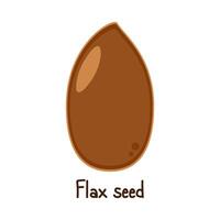 Flax seed . Flax seed on white background. vector