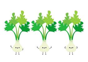 Coriander character design. Coriander cartoon on white background. vector