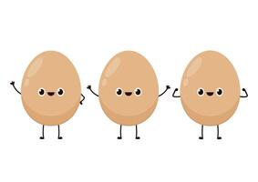 Egg . Egg on white background. Boiled egg . vector