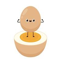 Egg . Egg on white background. Boiled egg . vector
