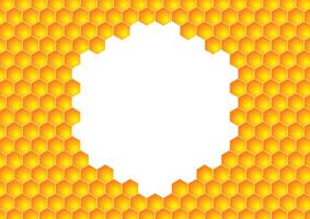 Bee comb pattern . Bee comb pattern wallpaper. free space for text. copy space. vector