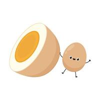 Egg . Egg on white background. Boiled egg . vector