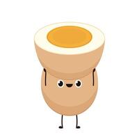 Egg . Egg on white background. Boiled egg . vector