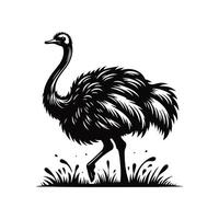 Animal black silhouette with white color background vector