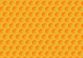 Bee comb pattern. Honey comb pattern . free space for text. vector