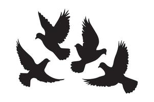 A silhouette of a bird in style. vector
