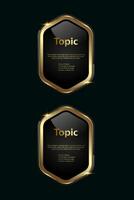 2 Golden multipurpose buttons with luxury stoked in template, two shiny gold options and Premium button on a dark background vector
