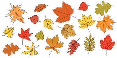 Set of bright autumn leaves drawn in a continuous line. Autumn leaf in one line style. Flower sketch. Composition of various leaves. Simple contour leaves. illustration vector