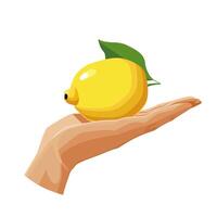 Freshly and healthy yellow lemon in the palm of the hand isolated on white background. illustration in flat style with dietary fruit. Clipart for card, banner, flyer, poster design vector