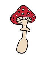 iIlustration of fly agaric on a white background. vector
