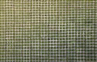 Geometric background of eco floor bricks and green grass. Eco parking texture. Floor stone tile with a rhomb hole for grass. Eco-friendly parking of concrete cells photo