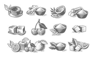 Fruit and sugar. Set of matcha tea with spices sketch vector