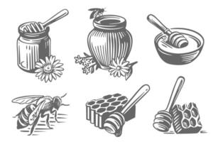Honeycomb. Honey with bee. Jar with flower sketch. vector