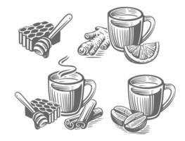 Herbal tea with honey ginger and cinnamon drawing sketch. vector