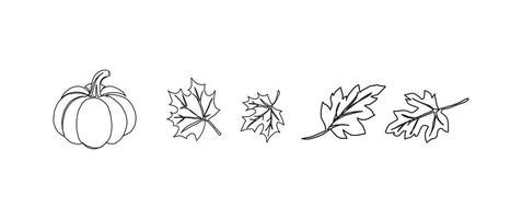 Pumpkin and maple leaves continuous one line drawing, single line art element, minimalist sketch line illustration, autum and thanksgiving concept vector