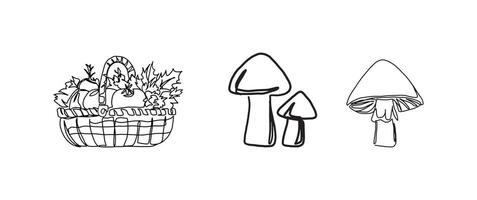 Harvest basket and mushroom continuous one line drawing, single line art element, minimalist sketch line illustration, autum and thanksgiving concept vector