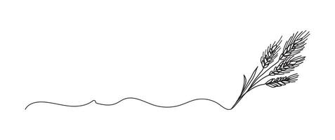 Wheat stalk continuous one line drawing, single line art element, minimalist sketch line illustration, autum and thanksgiving concept vector