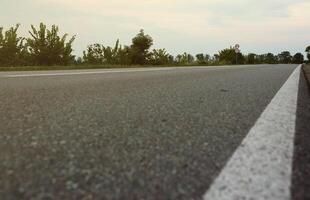 Empty asphalt road and floral field of different grass and flowers in evening time photo