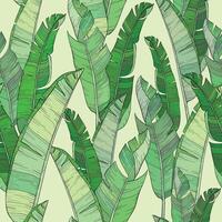Seamless pattern with palm banana leaf and plants. Floral background jungle. vector
