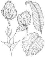 Tropical flowers and leaves. Set of hand drawn jungle leaves and exotic flowers. Black and white vector