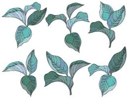 Seamless pattern with forest leafs. vector