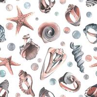 Various broken seashells and starfish, bubbles. Watercolor illustration hand drawn. Seamless pattern for fabric textiles, wallpaper, packaging, beach and summer prints on a white background vector