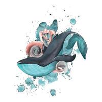 A whale with shells and a spot of watercolor. Watercolor illustration. Composition of a large set of WHALES. For the design and decoration of posters, postcards, prints, stickers, souvenirs, beach vector