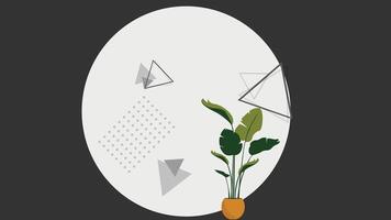 Abstract background with plants and solid color background vector