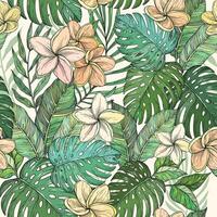 Seamless background of flowers frangipani, plumeria tropical flower, vector