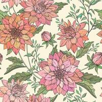 Seamless pattern with hand drawn chrysanthemums vector