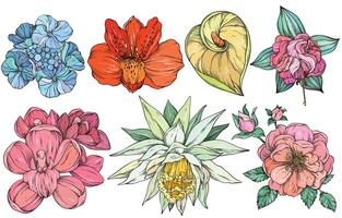Collection of colorful summer flowers vector