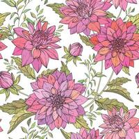seamless pattern with pink chrysanthemum flowers vector