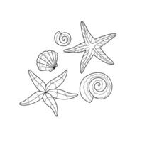 Set with starfish and shells. Coloring book for children. Summer coloring pages. line art vector