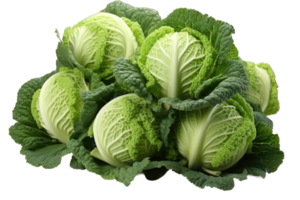 Kale cole cabbage vegetable transparent background cutout png