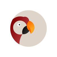 Parrot's head into the circles isolated on the white background. Realistic parrot logo design. Colored bird in flat style vector