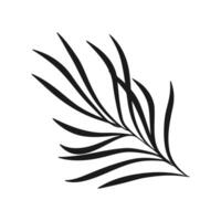 A branch silhouette with leaves in the style of a doodle. Illustration, isolated on white background. Floral design element in black color vector