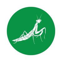 grasshopper icon design vector