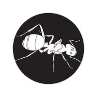 Ant icon design vector
