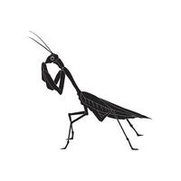 grasshopper icon design vector